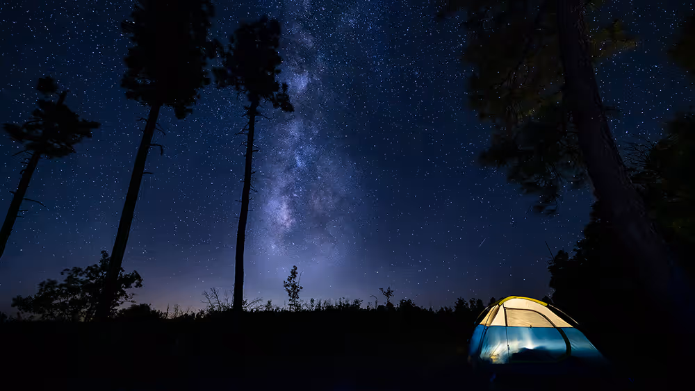 Illuminated camping tent under a starry night sky with the Milky Way visible, surrounded by tall trees.